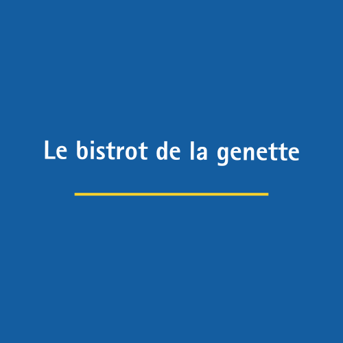 le bistrot de genette 17000